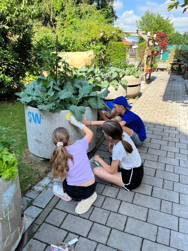 292053354_1650870241959050_7018725657646981587_n